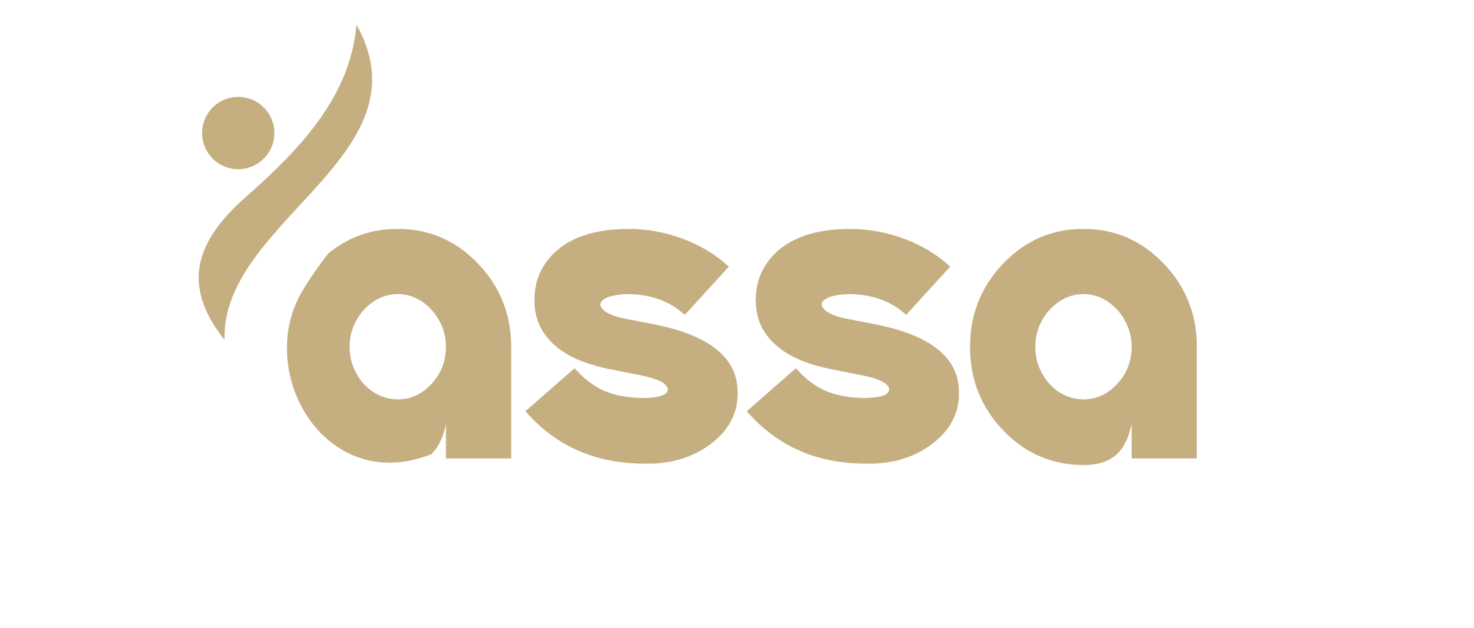 Assa nano versa pilates